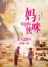 久久久久久久国产精品视频